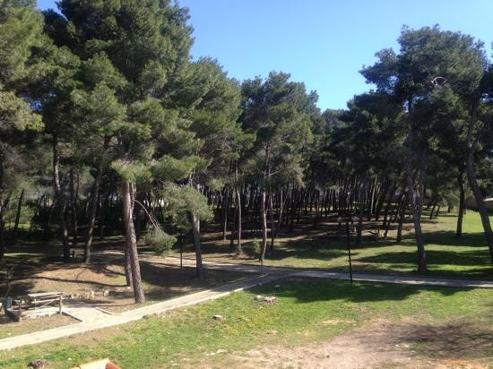 Mores旅游景点-Parco di Badimanna