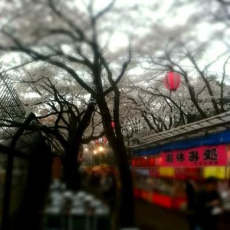 Fujimori Park-八王子市必去景点