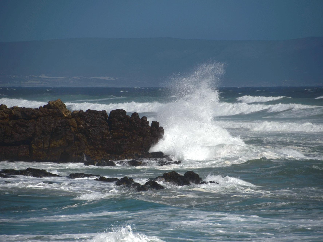Voelklip Beach-赫曼努斯必去景点