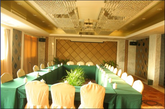 白天鹅国际酒店主图