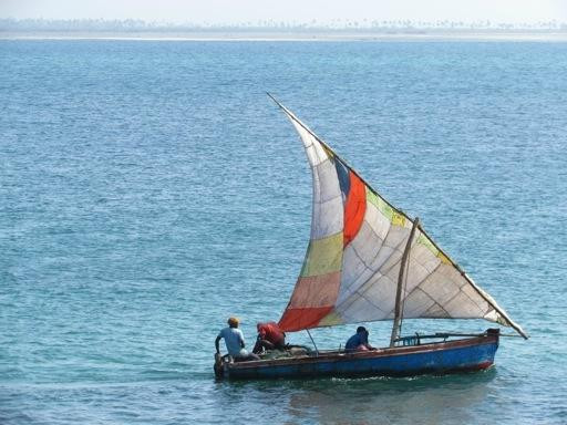 Ilha Blue Island Safaris景点图片