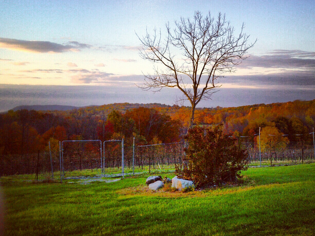 Demarest Hill Winery景点图片