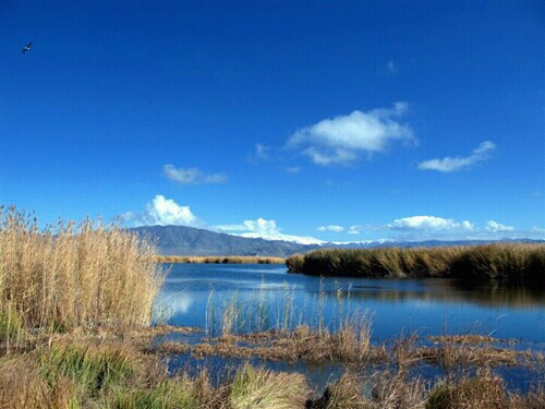 鸭泽湖-布尔津县必去景点