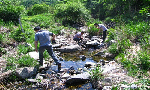 九龙川-海城市必去景点