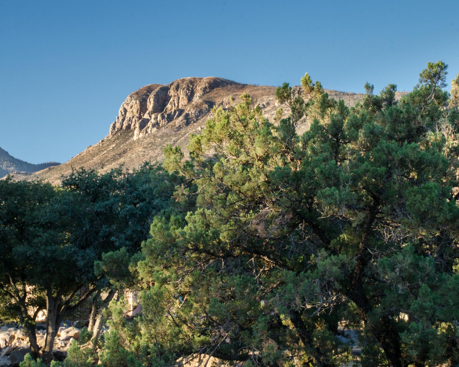 Rail Oaks Ranch-浴室