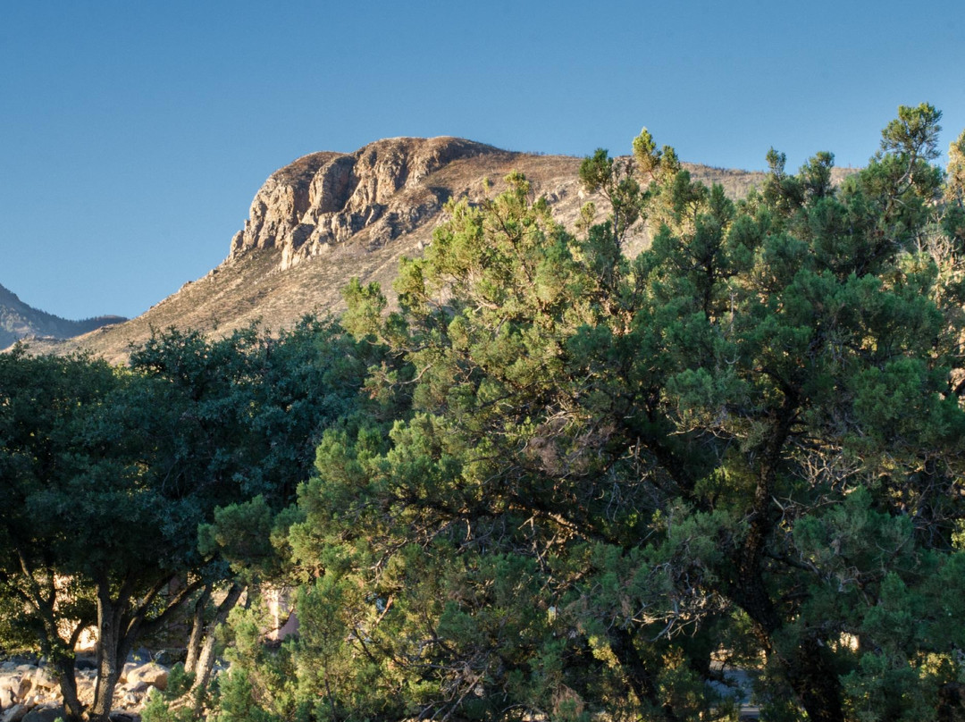 Rail Oaks Ranch主图