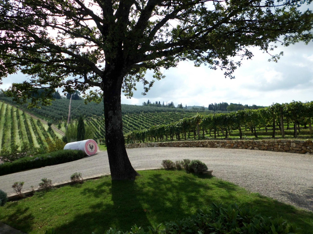 Guido's Tours - Wine Tours in Tuscany-佛罗伦萨必去景点