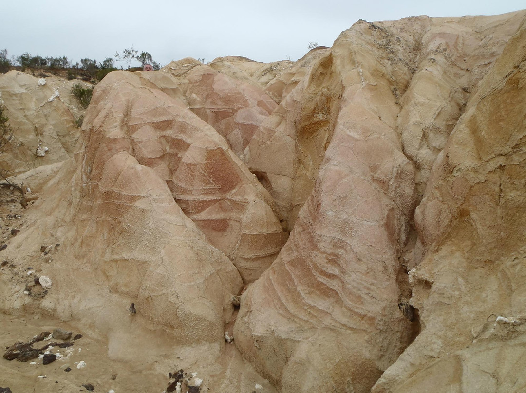 Pink Cliffs-Heathcote必去景点