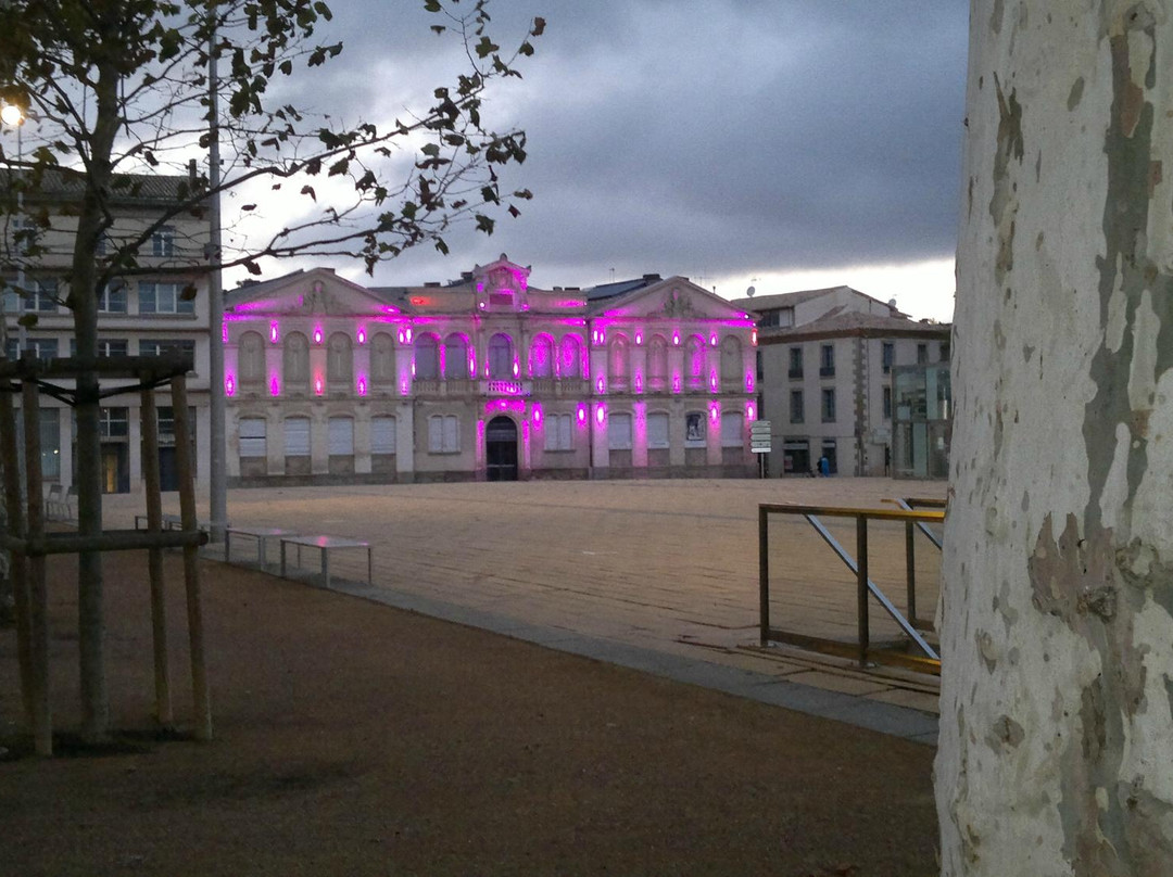 Musée des Beaux-Arts-卡尔卡松必去景点