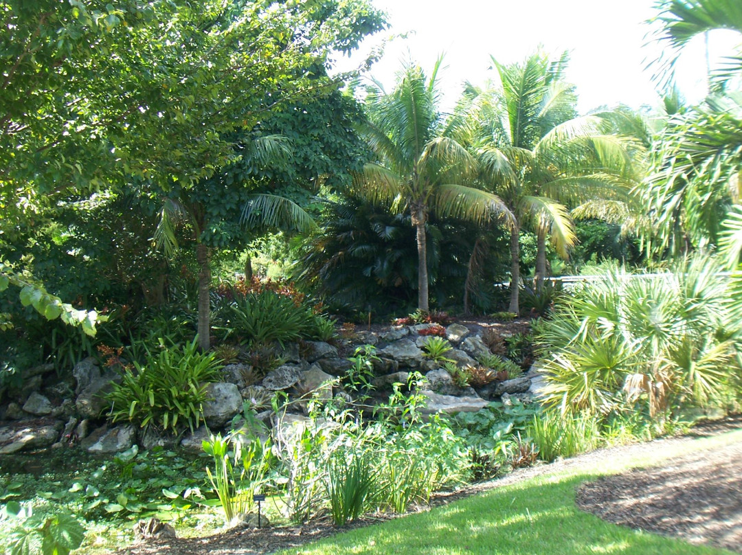 Mounts Botanical Garden景点图片