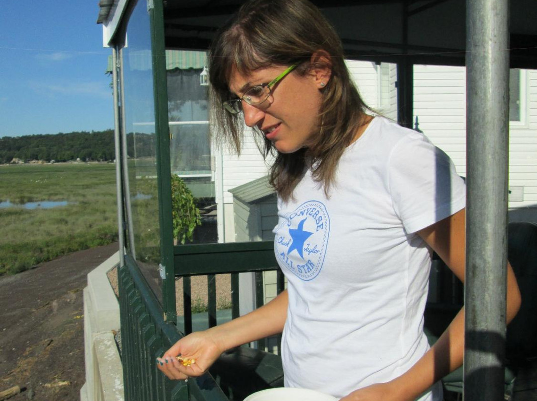 Au Bord du Fleuve主图