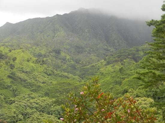 Kuilau Ridge Trail景点图片
