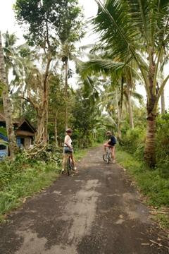 Bali Cycling Tours - Bali Moon Group景点图片