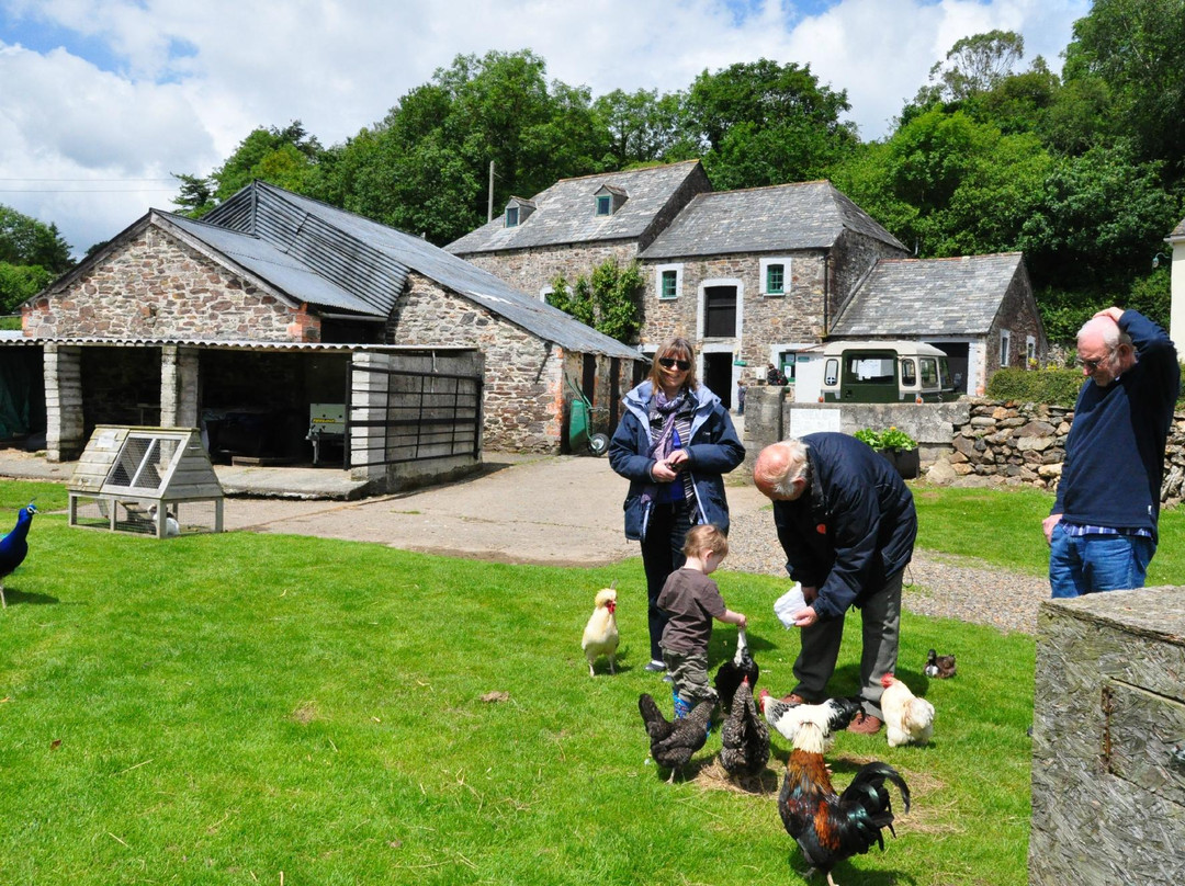 New Mills Farm Park-朗塞斯顿必去景点