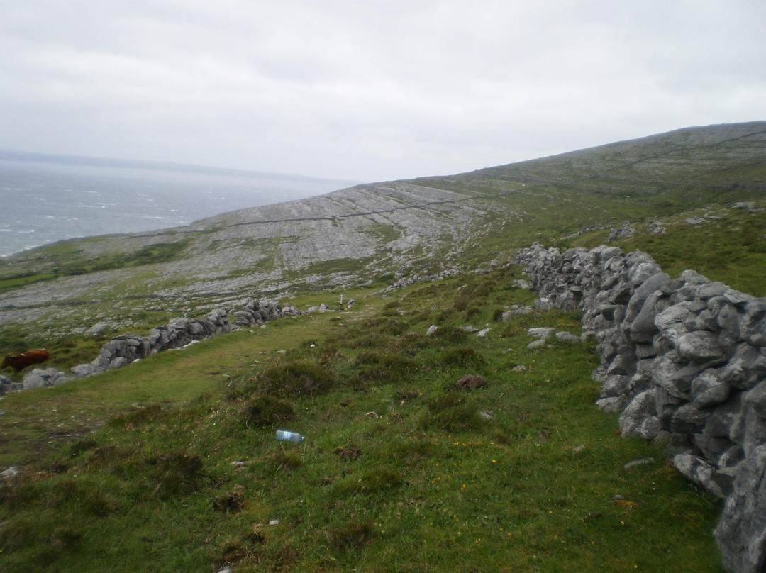 Burren Hills Walk景点图片