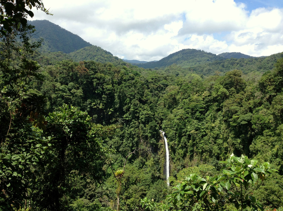 La Fortuna Waterfall景点图片