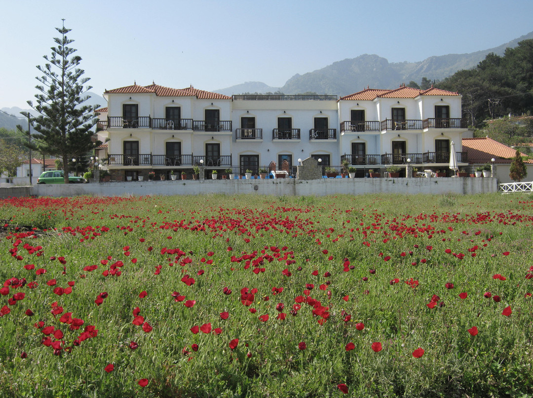 Hotel Apartment Agios Konstantinos