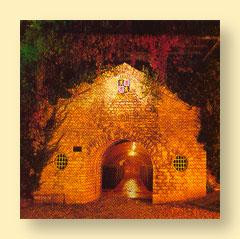 Caves St Martin-Remich必去景点