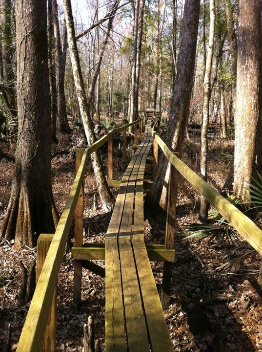 Rice Creek Conservation Area-Palatka必去景点