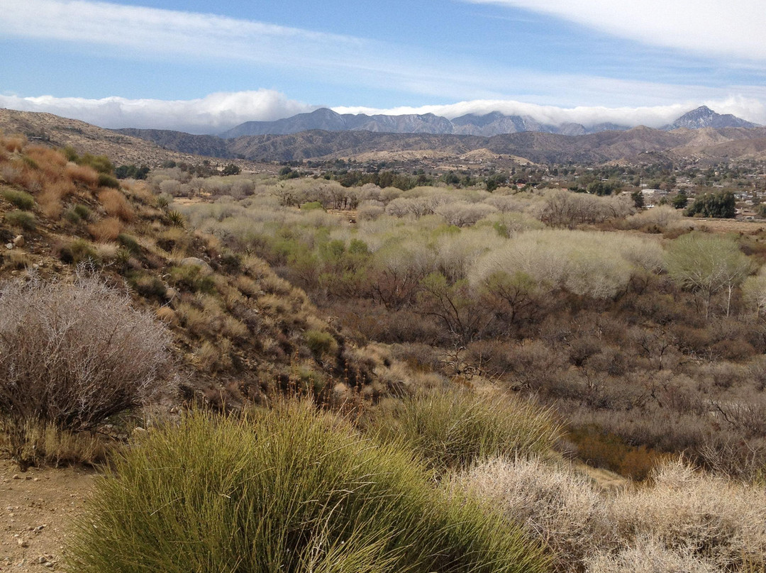 Big Morongo Canyon Preserve景点图片