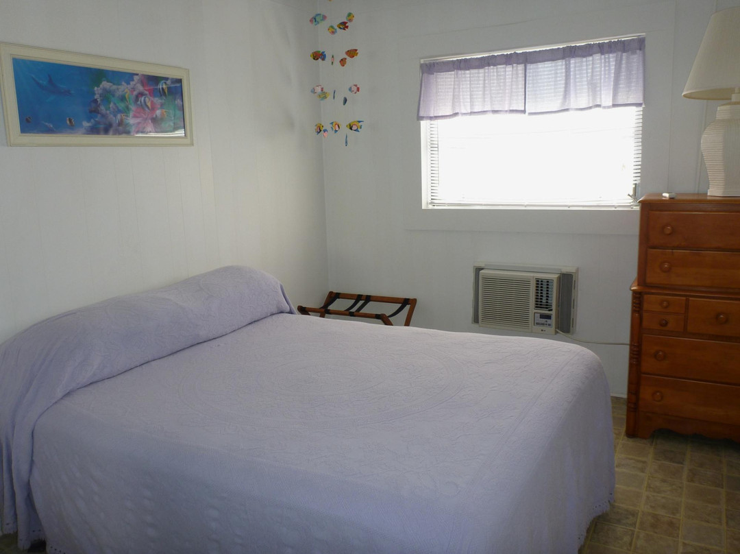 The Palmetto Inn主图