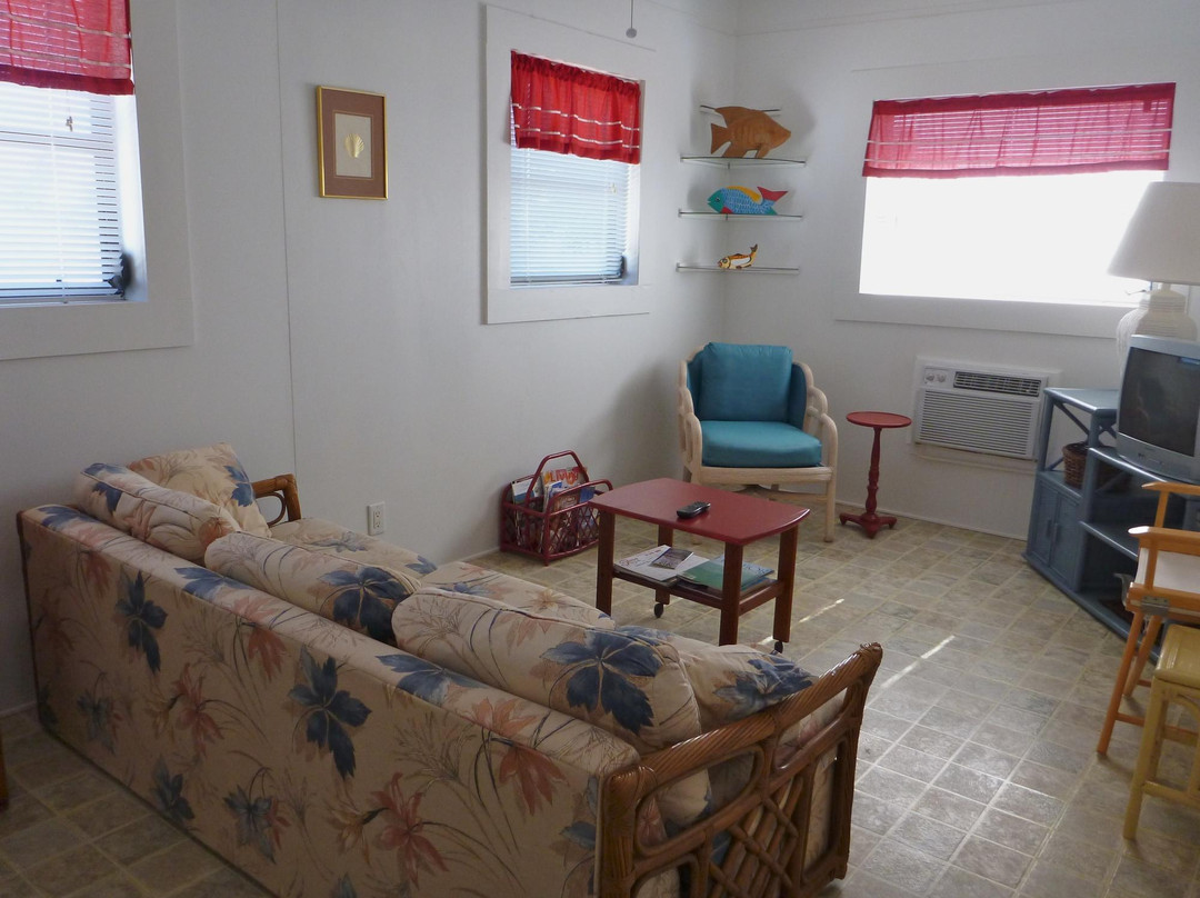 The Palmetto Inn主图