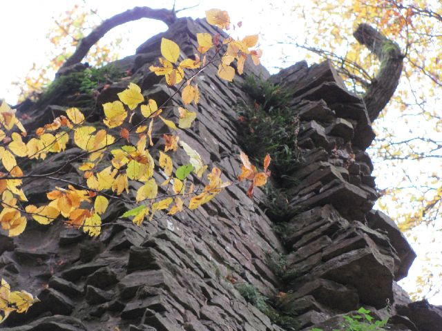 Burgruine Neuenberg景点图片