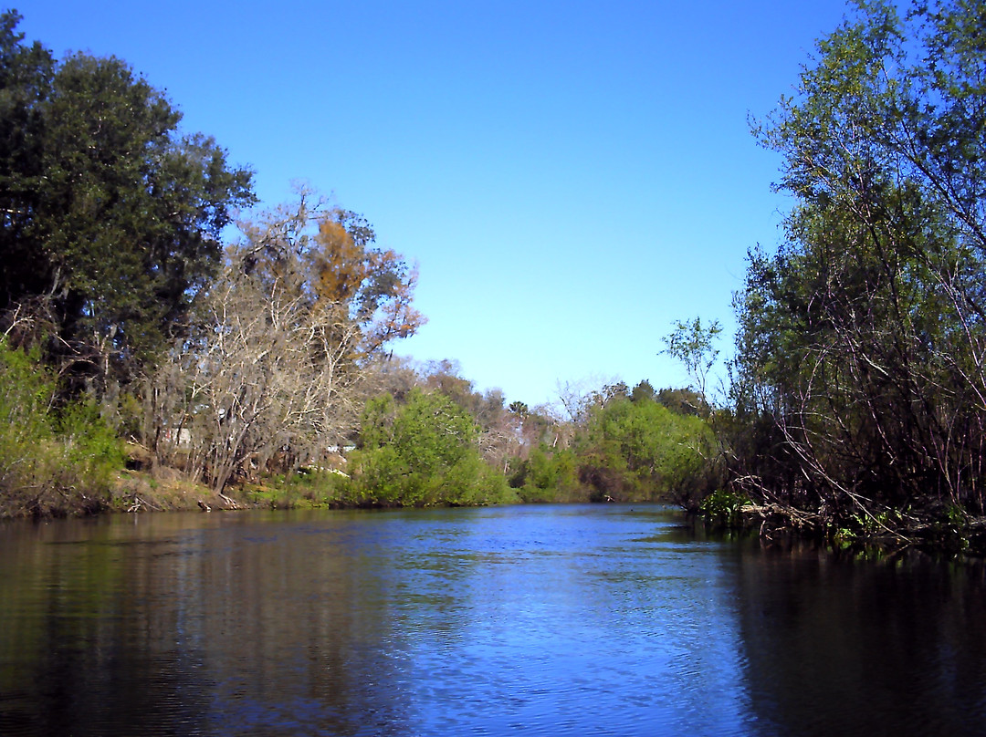 Fossil Expeditions-阿卡迪亚必去景点