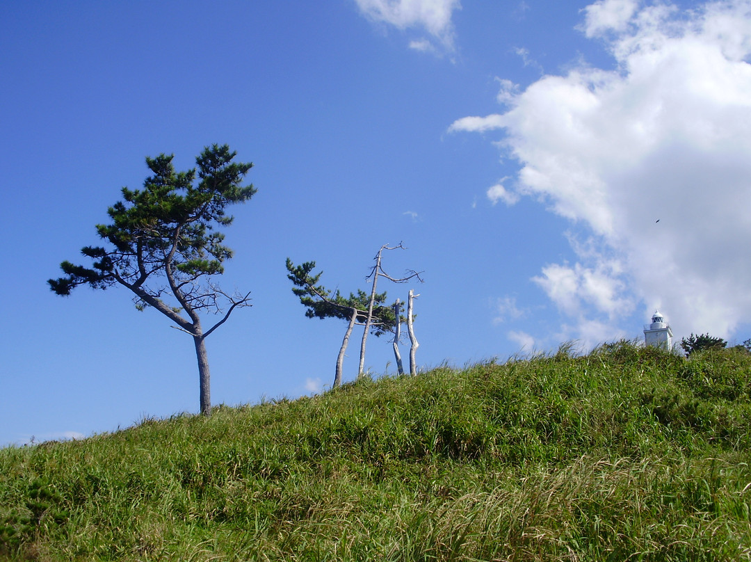 标茶町多和平-标茶町必去景点