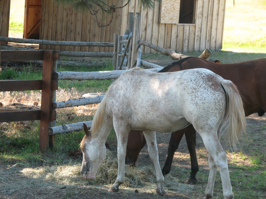 The Cabins at Deer Crossing主图