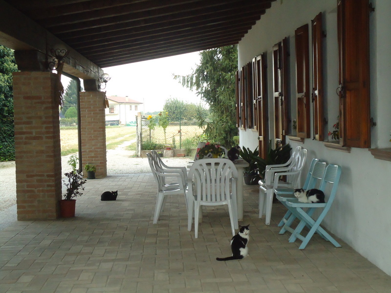 B&B La Storara-官方