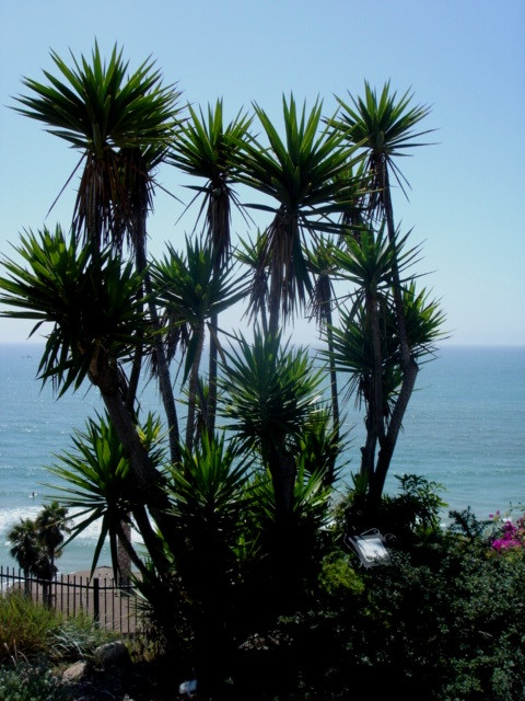 Casa Romantica Cultural Center and Gardens-圣克莱蒙顿必去景点