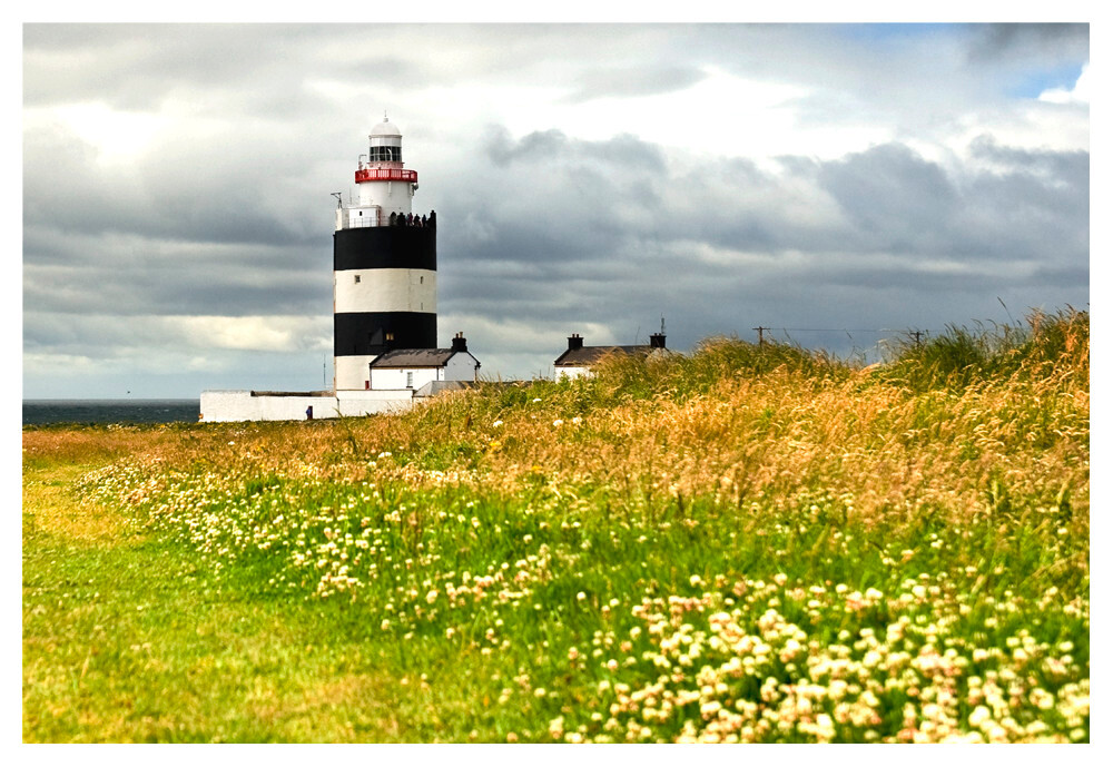 Hook Head Safaris景点图片