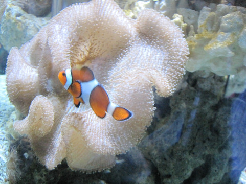太平洋海底世界博览馆-北京市必去景点