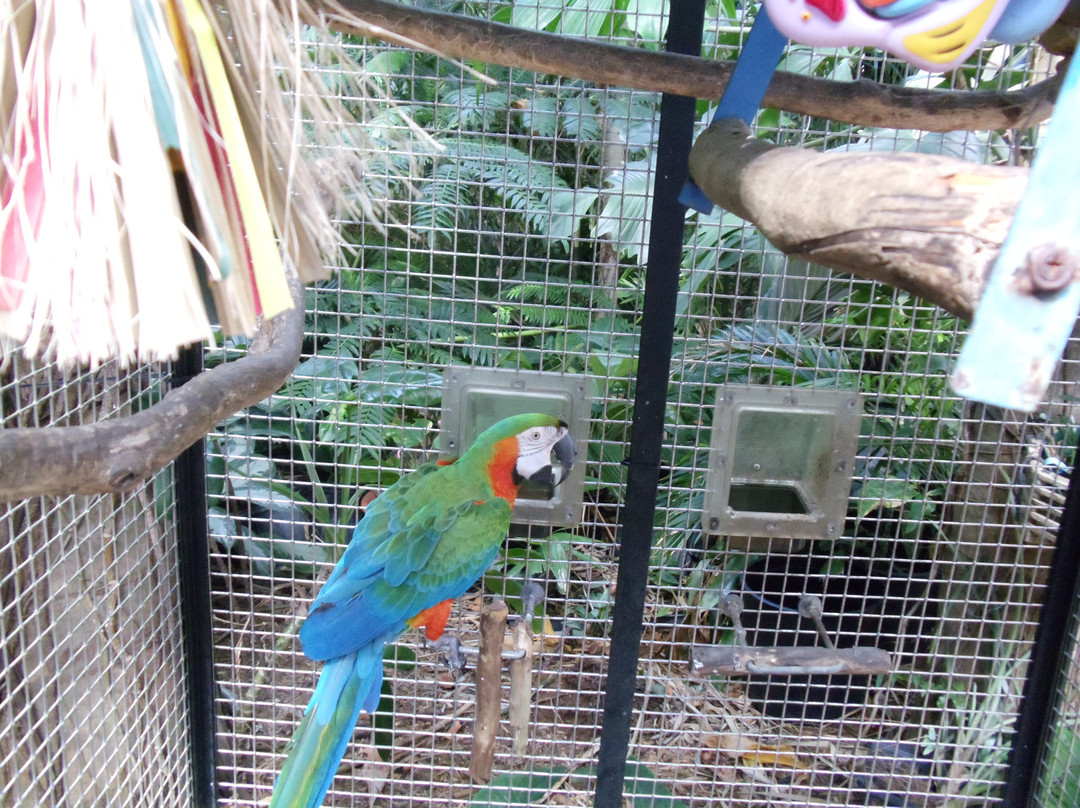 Lloyd's Tropical Bike Tour-基韦斯特必去景点