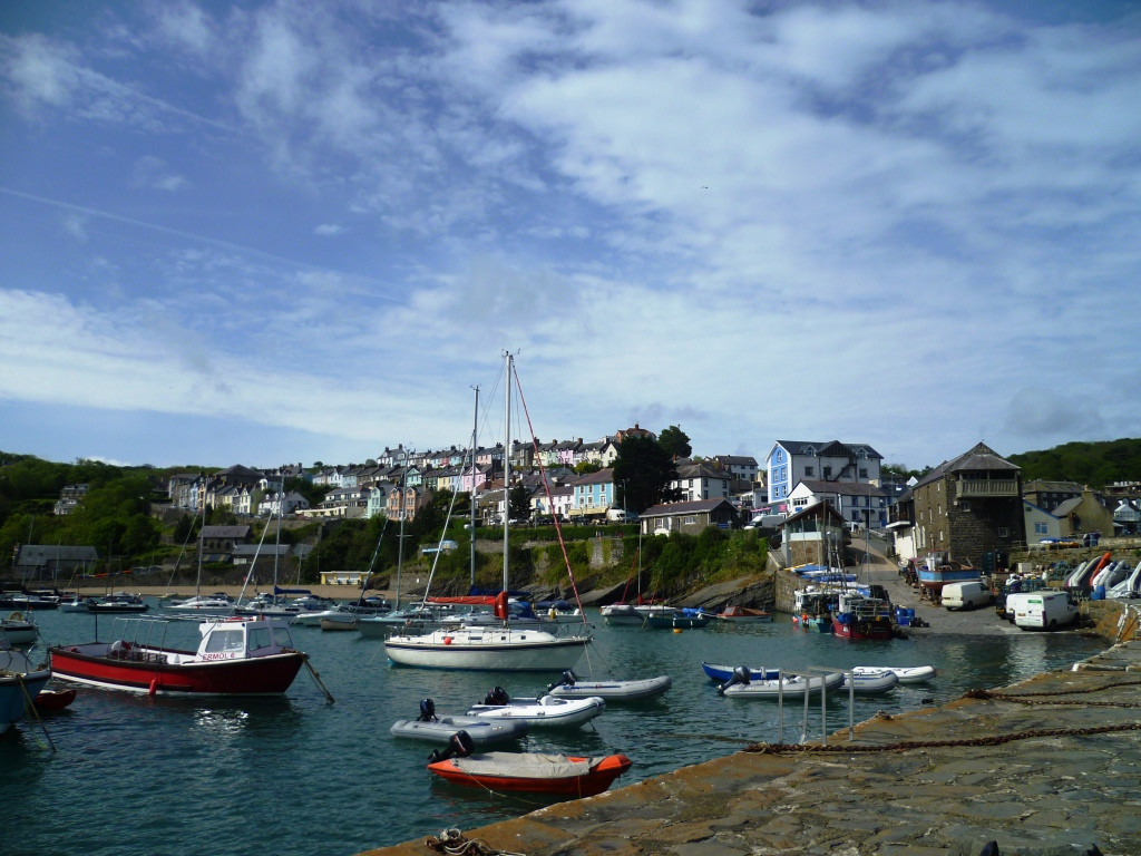 Dolphin Spotting Boat Trips (by New Quay Boat Trips)景点图片