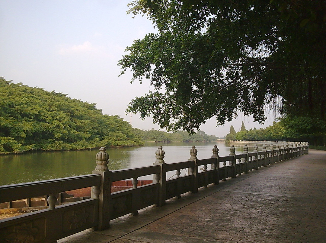 小鸟天堂-江门市必去景点