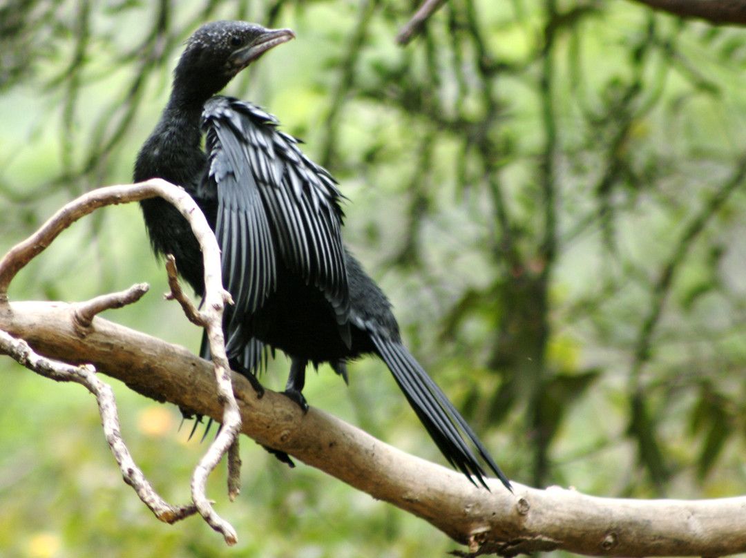 Sultanpur National Park景点图片