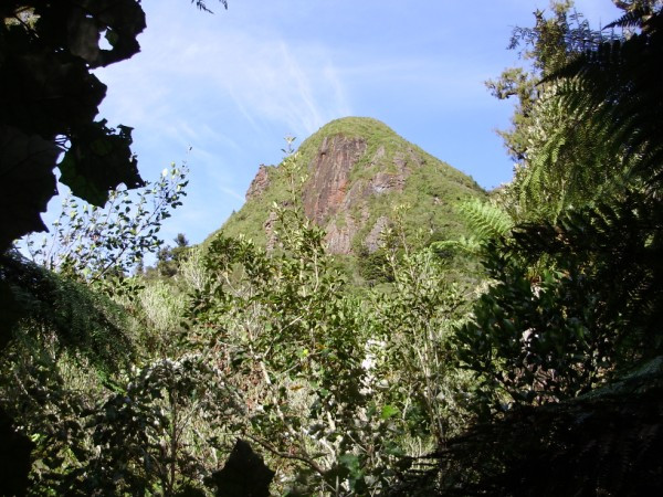 Awhina Wilderness Experience Tours景点图片