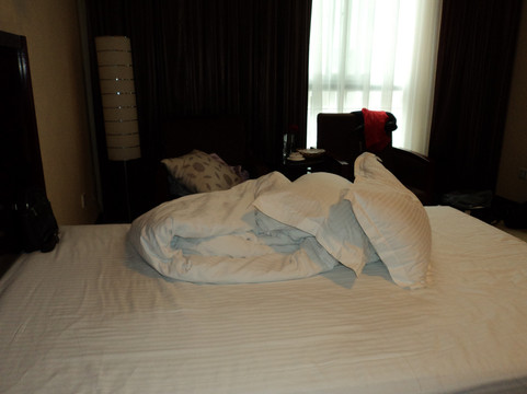 瑞贝卡大酒店（郑州二七广场店）主图