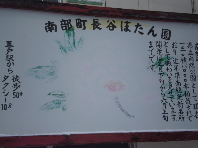 Hase Peony Garden景点图片
