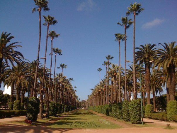 Parc de la Ligue Arabe-卡萨布兰卡必去景点