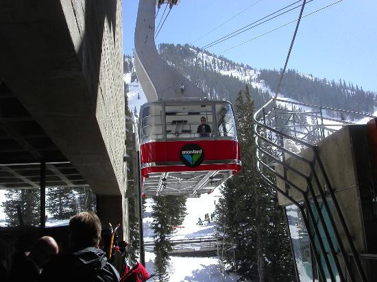 Snowbird-Snowbird必去景点