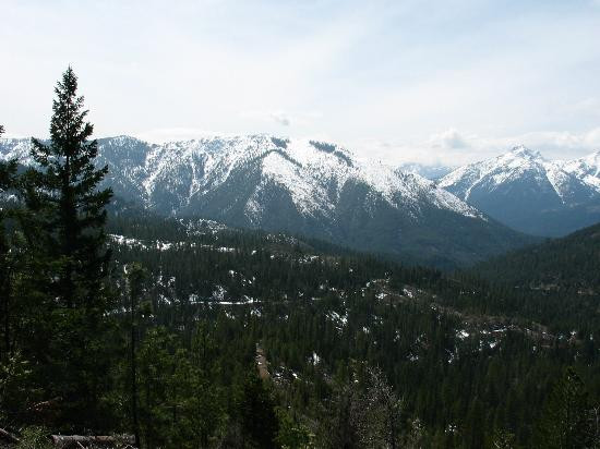 Shasta-Trinity National Forest景点图片