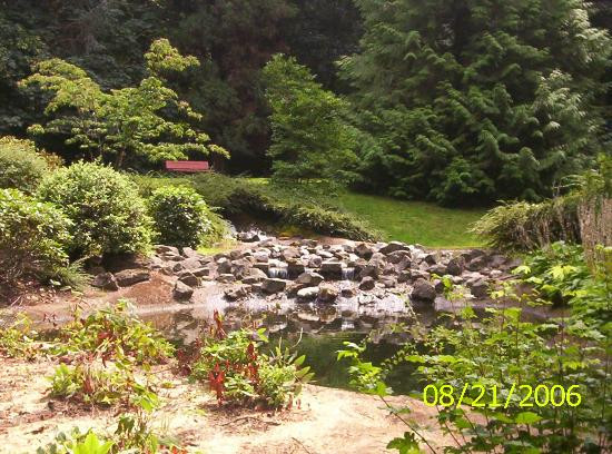 The Grotto - National Sanctuary of Our Sorrowful Mother景点图片