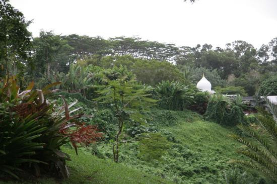 Kauai's Hindu Monastery-卡帕阿必去景点