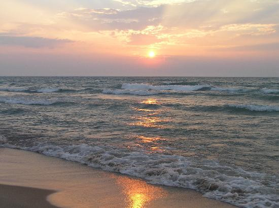 Indiana Dunes State Park景点图片
