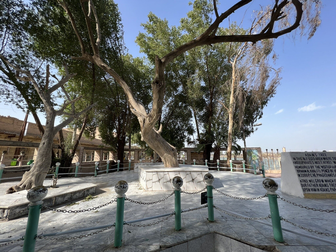 The Tree Of Knowledge