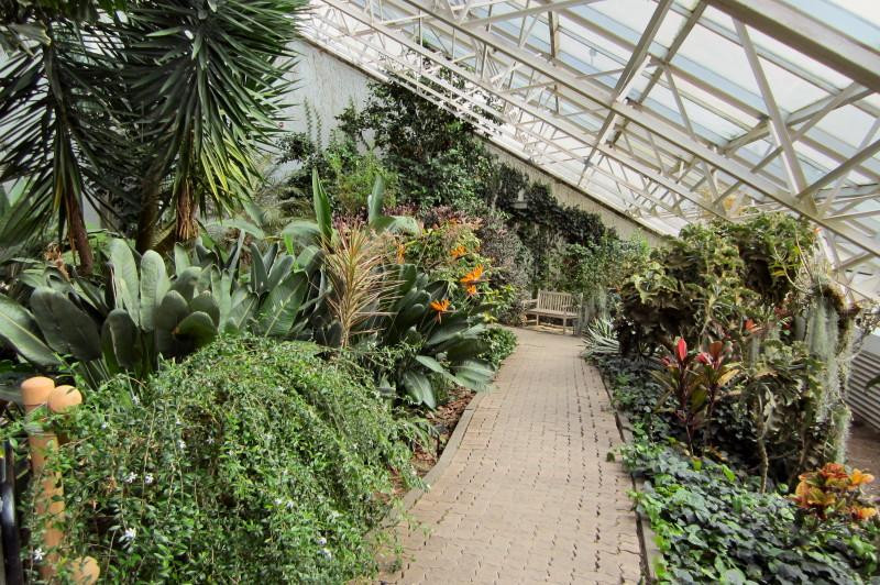 Foellinger-Freimann Botanical Conservatory-韦恩堡必去景点
