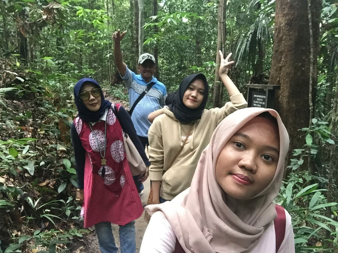 Bangkirai Hill Nature Tourism-巴厘巴板必去景点